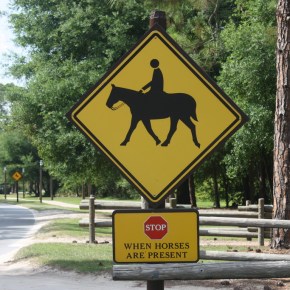 Fort Wilderness Favorites